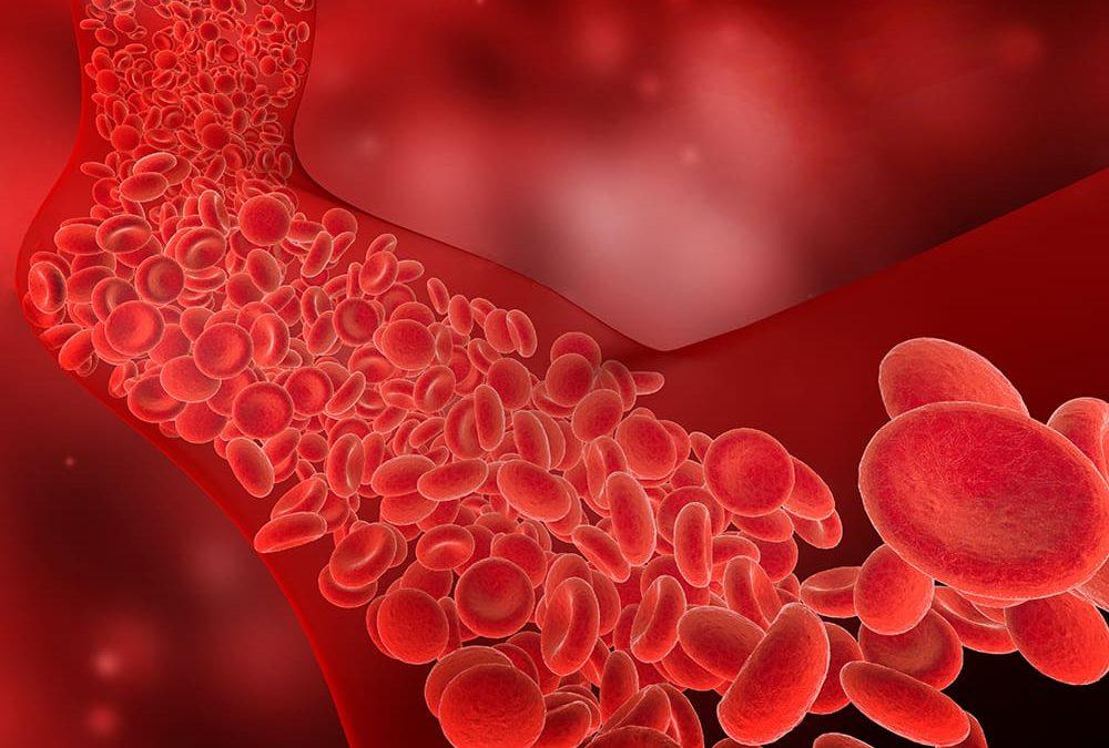 What the Insides of Varicose Veins Look Like